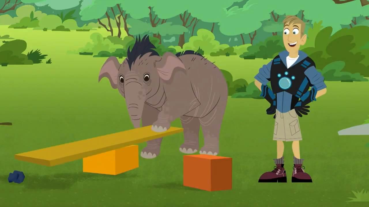 کرتها در حیات وحش S05E08 - Elephant Brains!
