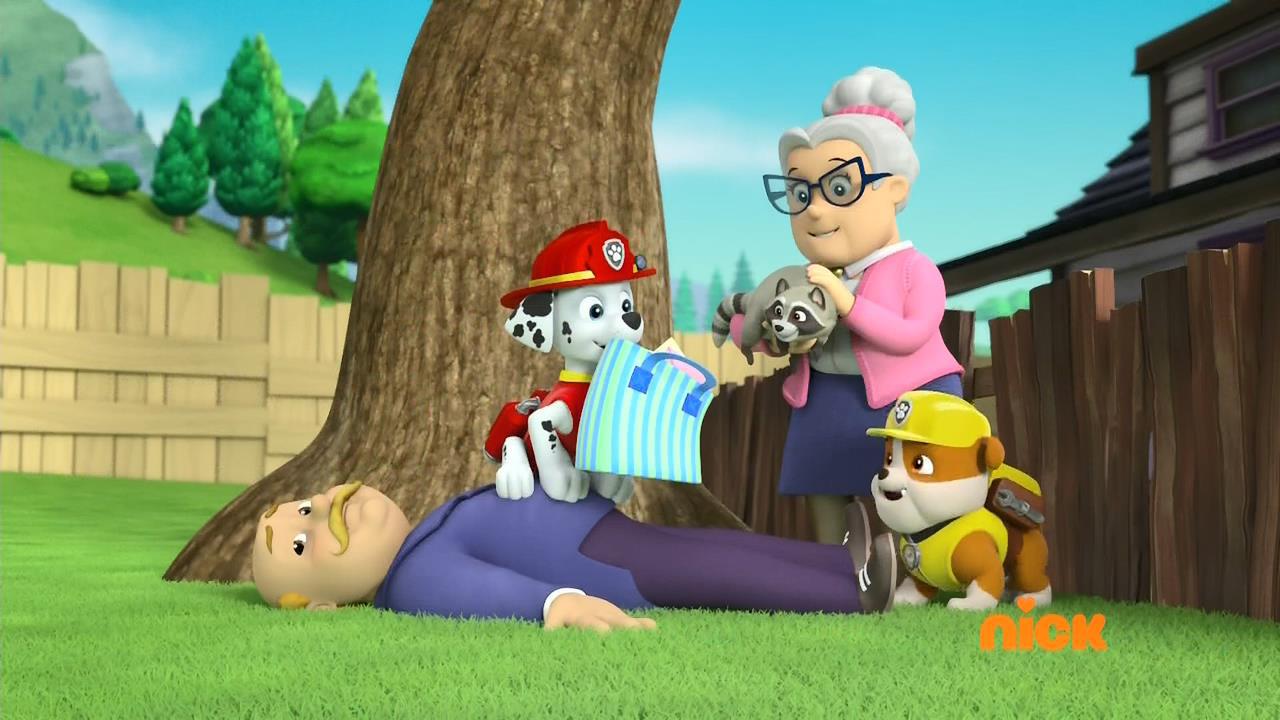 Paw Patrol - سگهای نگهبان undefined