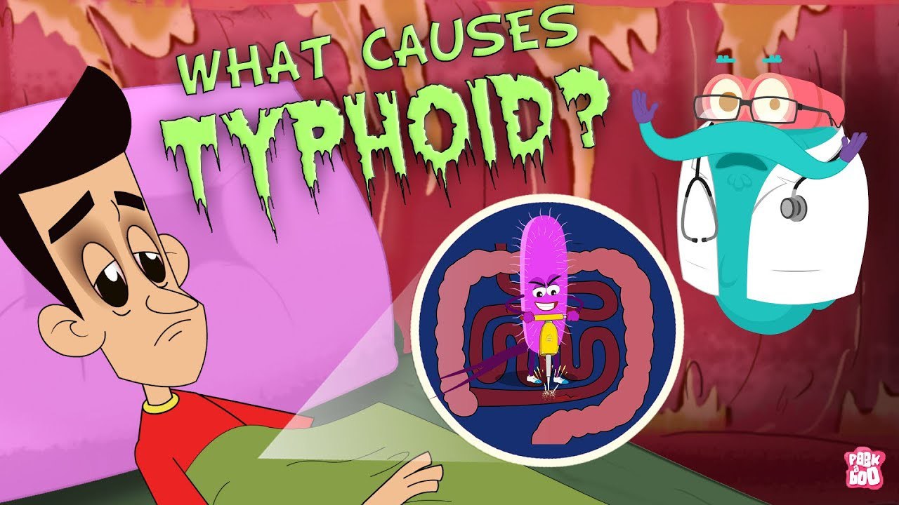 دکتر بیناکس What Causes Typhoid